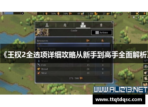 《王权2全选项详细攻略从新手到高手全面解析》